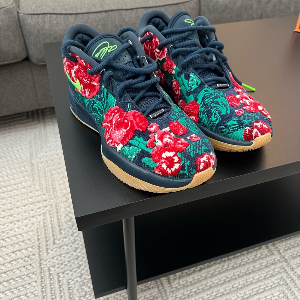 LeBron James Nikes